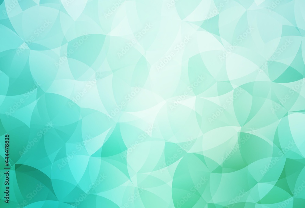 Fototapeta premium Light Green vector low poly background.
