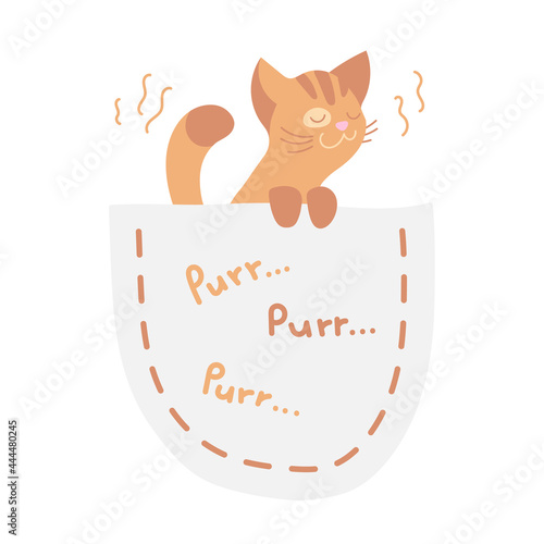 Cute purring ginger kitten, cat  sitting in the pocket isolated on whte. Vector illustration for postcard, banner, decor, design, arts, web, calendar, advirtising. 