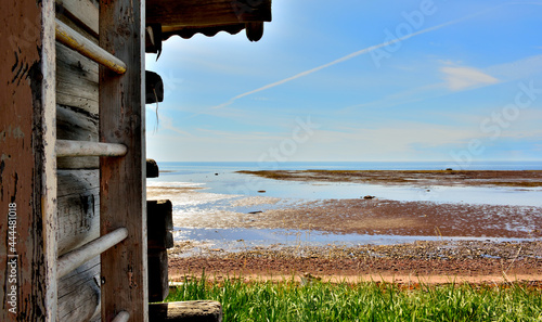 wooden fence
