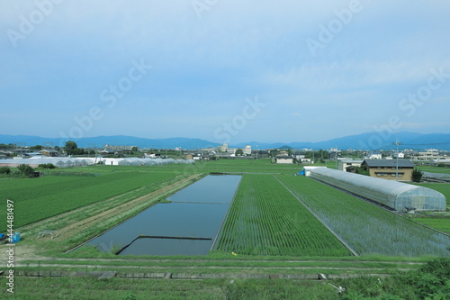 梅雨空の田園風景