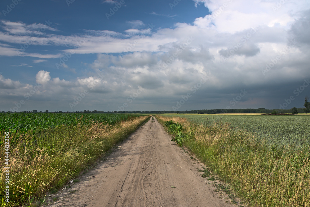 
A dirt road in the countryside