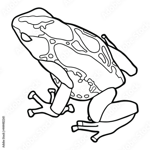 Little frog. Spotted poison dart frog. Coloring page. Black outline. 