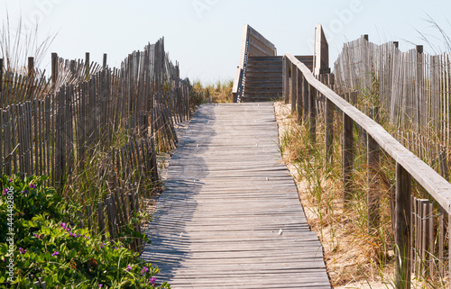 Wooden walkway over the dunes of Fire Island to get to the beach photo