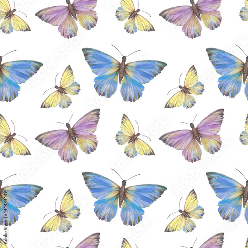 Botanical abstract pattern. Butterflies seamless pattern hand drawn.