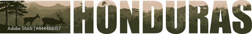 Vector panorama of Honduras withwhite-tailed deers in Jungle Rainforest