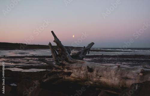sunset on the beach