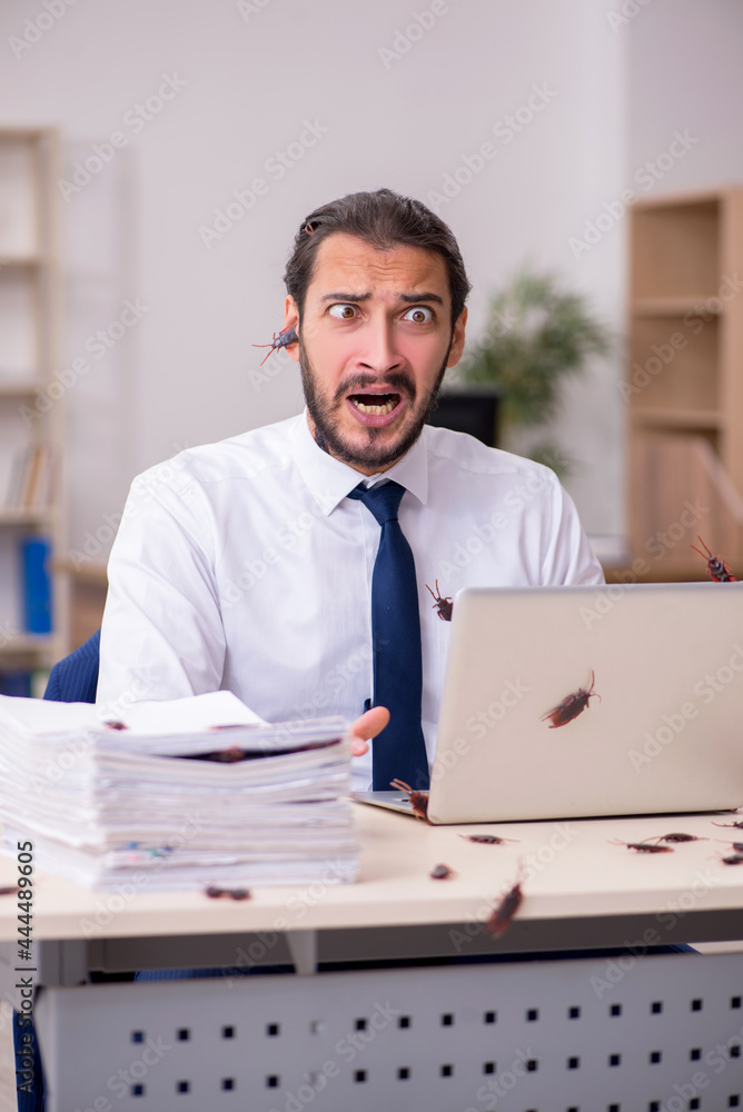 Young male employee and too many cockroaches in the office Young male employee and too many cockroaches in the office