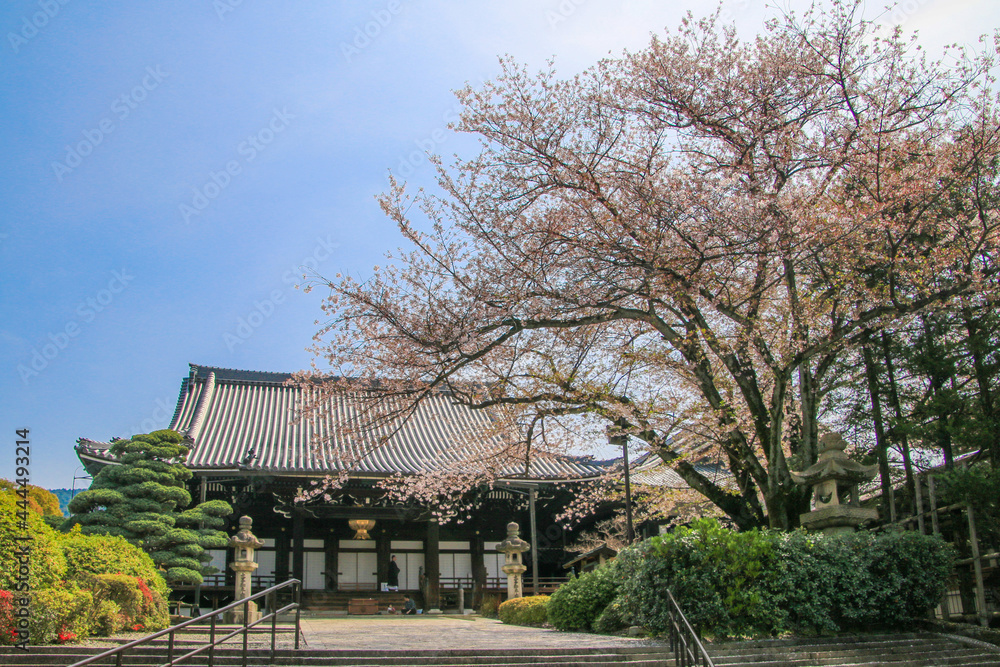 大谷本廟 大谷本廟