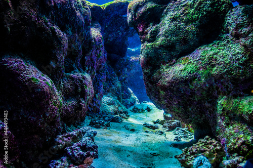 Underwater rocks