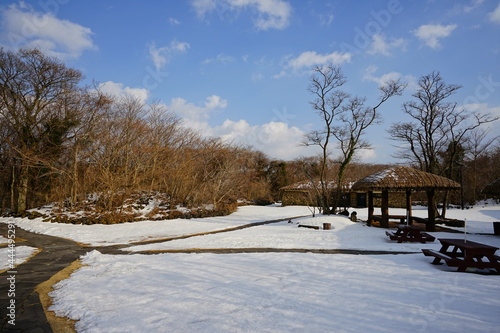 a winter landscape of snow