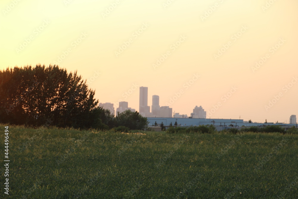 Light Of The Sunset, Pylypow Wetlands, Edmonton, Alberta Light Of The Sunset, Pylypow Wetlands, Edmonton, Alberta