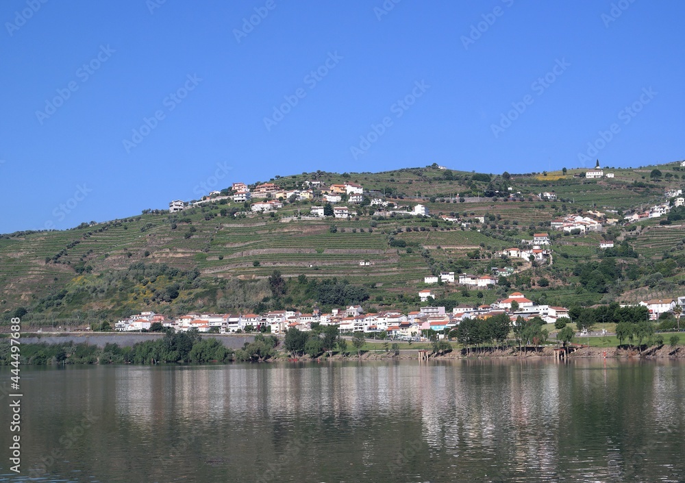 Fototapeta premium terraços de parreiras