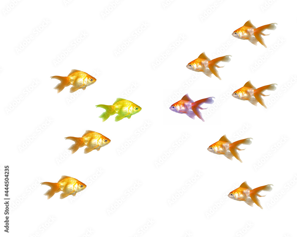 Outnumbered Outnumbered