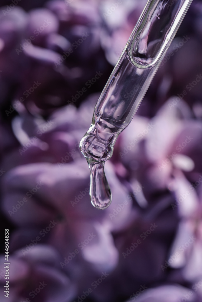 A drop of cosmetic oil falls from the pipette on a purple floral background. A drop of cosmetic oil falls from the pipette on a purple floral background.