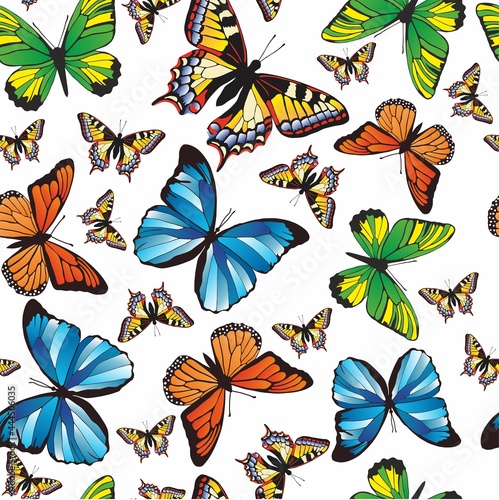 Vector pattern with butterflies on a white background. Seamless pattern for fabric, paper, wallpaper. Texture with colored insects © Ana Lo