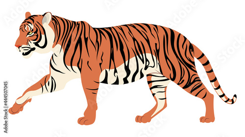 Walking red tiger