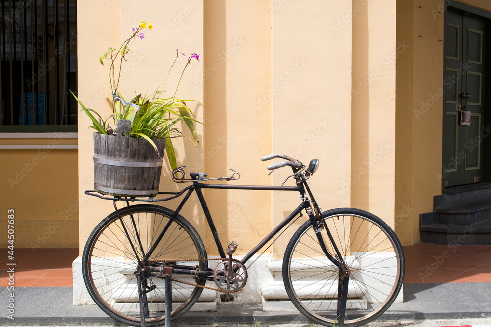 background old bicycle beside building vintage style