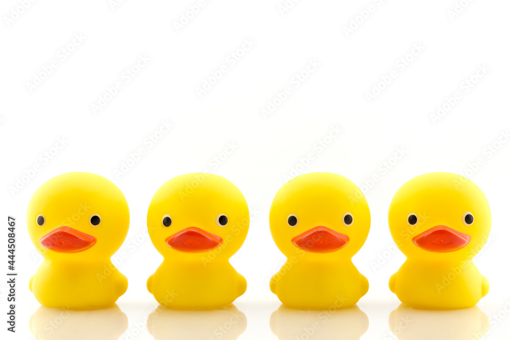 Four yellow rubber ducks isolated on white. Four yellow rubber ducks isolated on white.