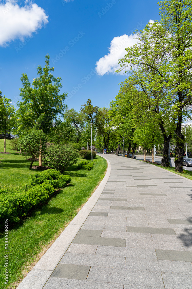 The road in the city park in sunny weather.