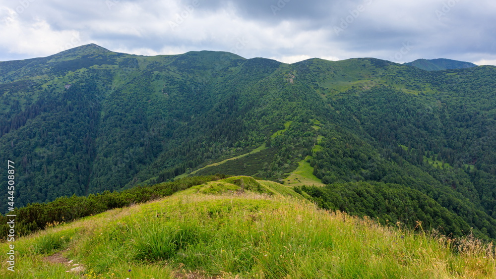 Fototapeta premium View of the Kraviarske peak in Mala Fatra, Slovakia.