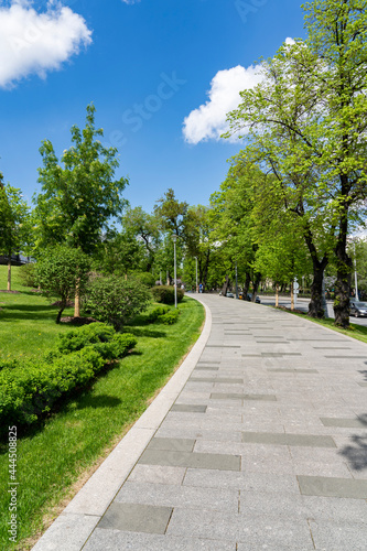 The road in the city park in sunny weather. © ELENA MASTEROVA