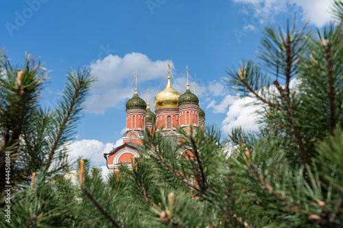 Coniferous tree in the ground against the blue sky of the dome of the church.	