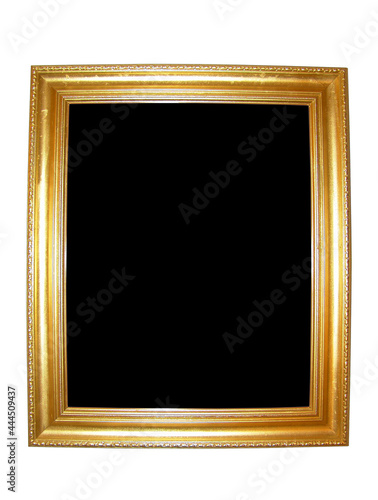 Blank Gold Picture Frame