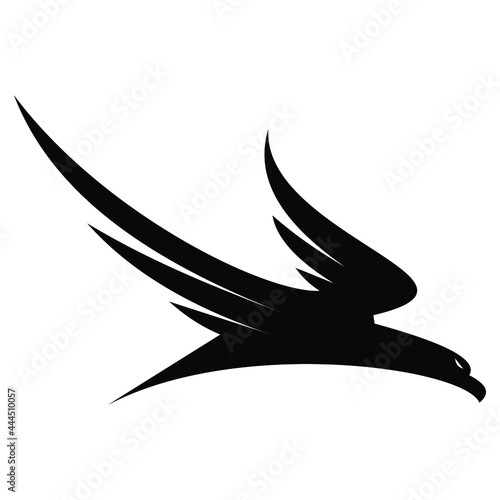 bird logo design vector  design template