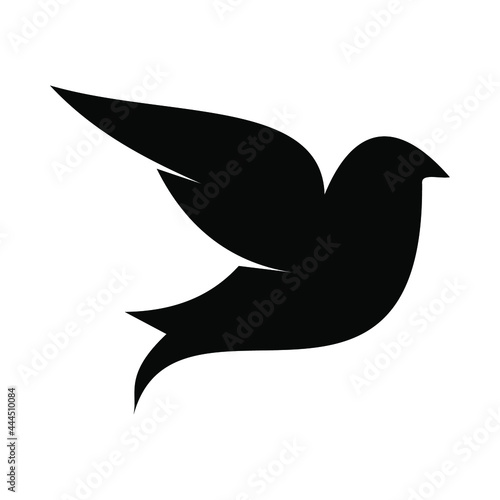 bird logo design vector  design template