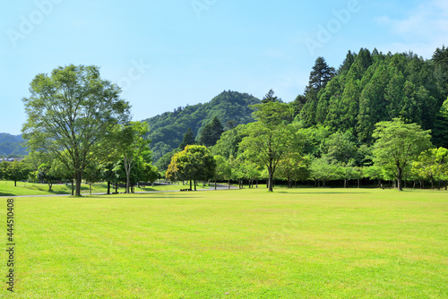 宮ケ瀬湖付近 神奈川県清川村付近の風景