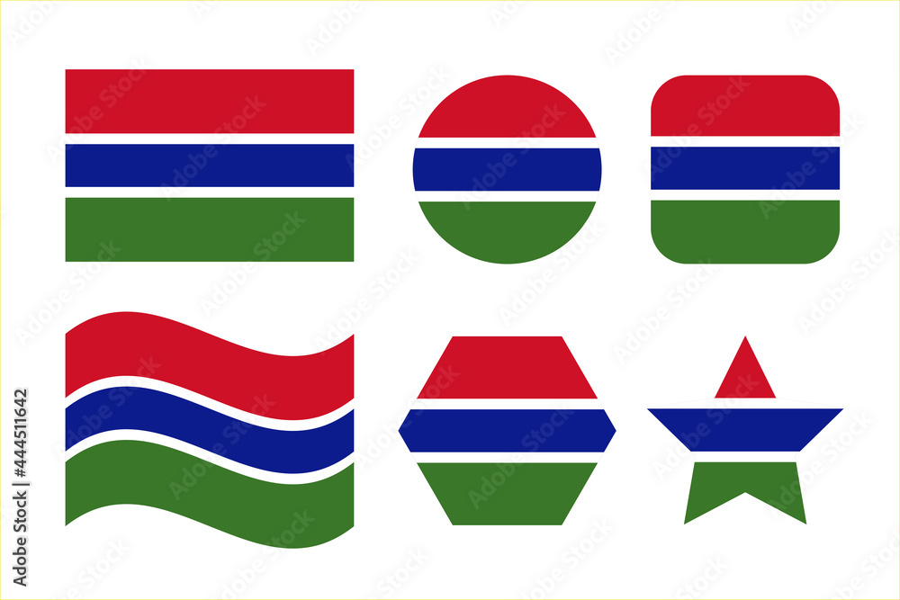 Obraz premium Gambia flag simple illustration for independence day or election