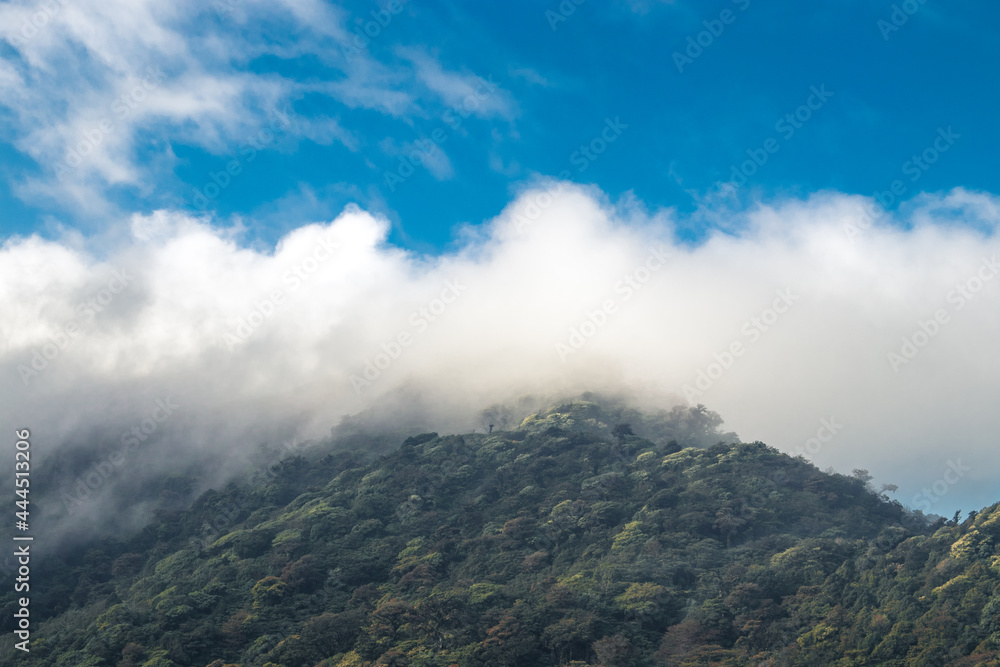 Horizontal shot of a hill full of trees and a beautiful landscape on a cloudy morning in the green hills of Escazu covered with bushes and trees