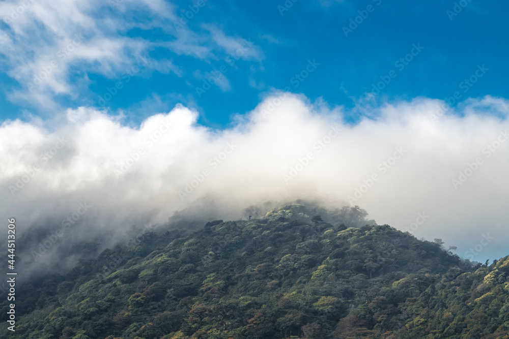 Horizontal shot of a hill full of trees and a beautiful landscape on a cloudy morning in the green hills of Escazu covered with bushes and trees Horizontal shot of a hill full of trees and a beautiful landscape on a cloudy morning in the green hills of Escazu covered with bushes and trees