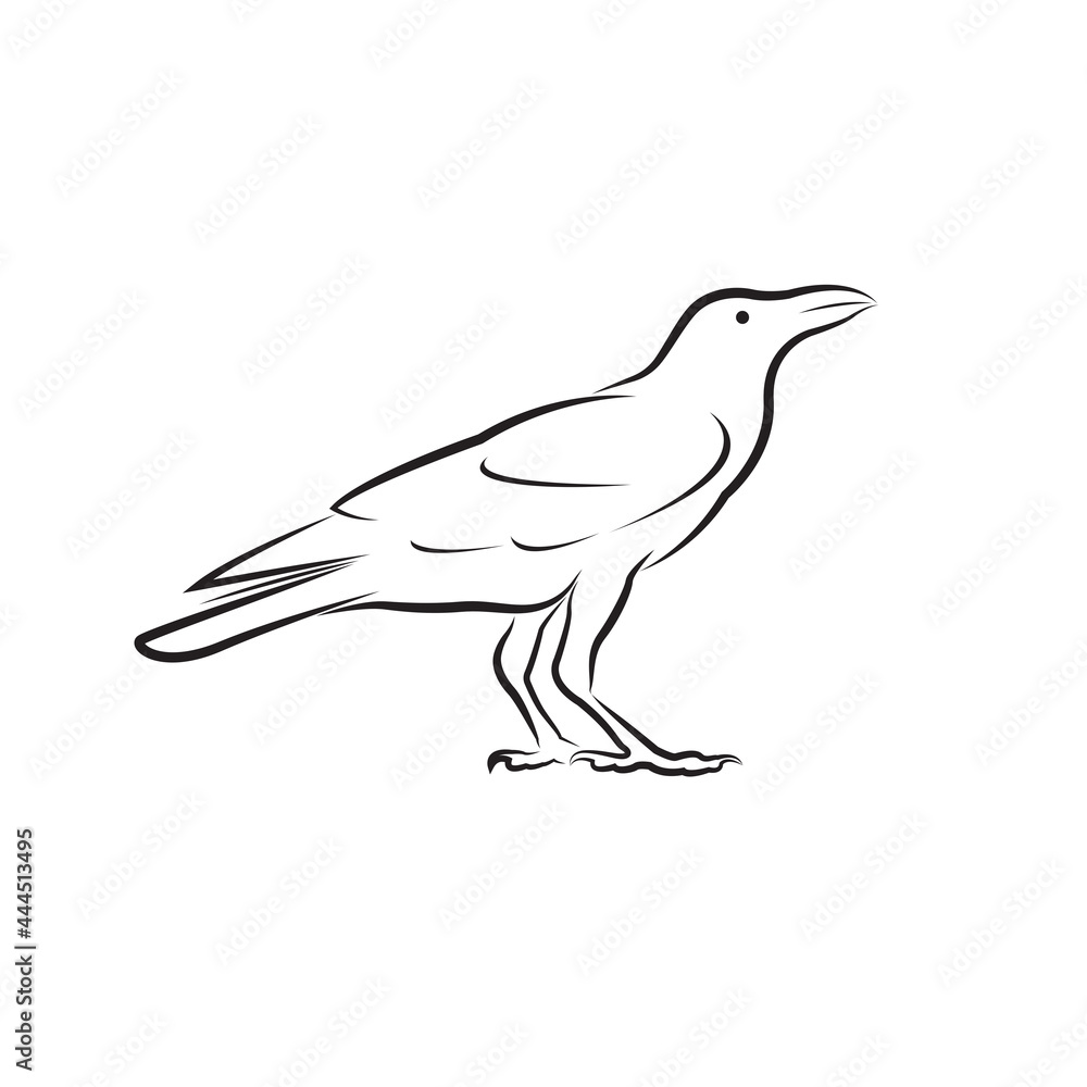 Vector of crow design isolated on white background. Easy editable layered vector illustration. Wild Animals. Vector of crow design isolated on white background. Easy editable layered vector illustration. Wild Animals.