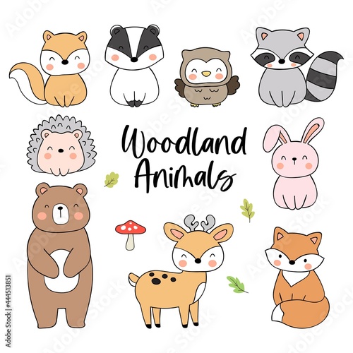 Draw collection cute woodland animal Doodle cartoon style