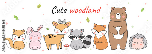 Draw vector illustration banner design cute woodland animals Doodle cartoon style