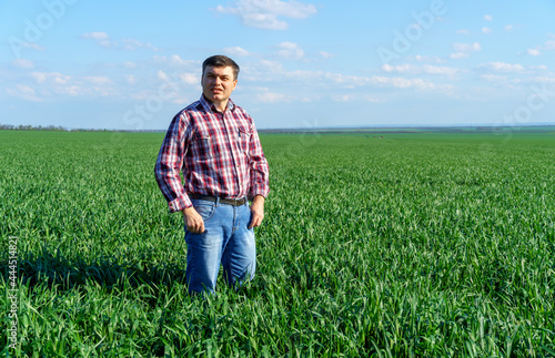 a man as a farmer poses in a field, dressed in a plaid shirt and jeans, checks and inspects young sprouts crops of wheat, barley or rye, or other cereals, a concept of agriculture and agronomy © soleg