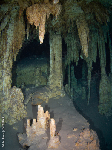 Underwater limestone cave  Cenote Dos Ojos  Tulum  Quintana Roo  Mexico 