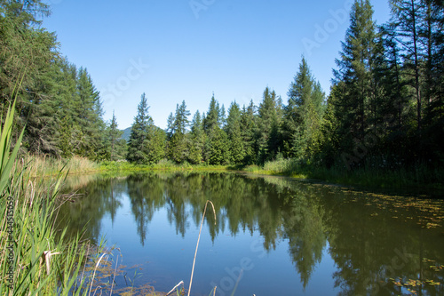 Beautiful and wild lake in the province of Quebec  Canada