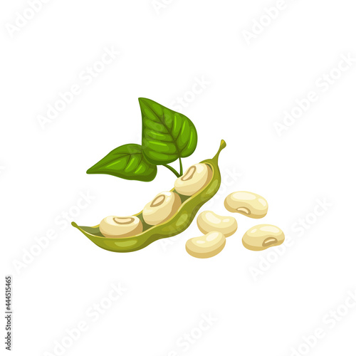 Soy or common bean pods with green leaves and heap of beans isolated natural food. Vector raw vegetable legume, fresh or pods with seeds. Pile of legume pods of beans, soybean seeds agriculture plants