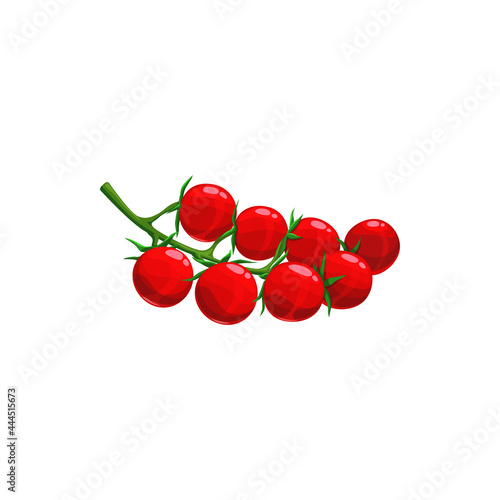 Branch of cherry tomatoes isolated fresh veggies on stem. Vector realistic vegetarian food, ripe small round tomatoes bundle. Tomato berries with leaves, salad ingredient, red tomatoes dieting snack