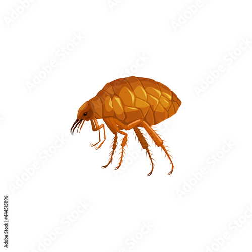 Flea icon, insect parasite pest control service and health disinsection symbol, vector isolated. Flea insect parasite, animals and human pest control sanitary disinfection and extermination symbol
