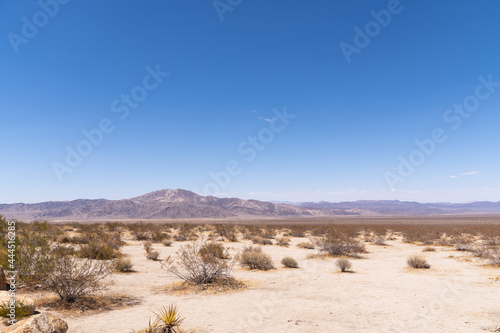Low Angle Wide Photo of Joshua Tree National Park Desert and Mountains