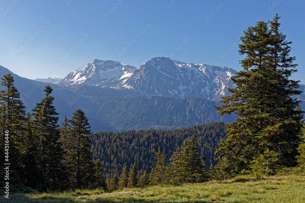 Forest and snowy summit of Taillefer mountain range
