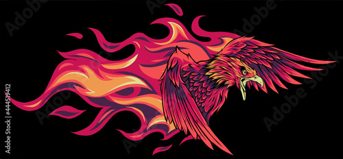 vector illustration of eagle with flames design