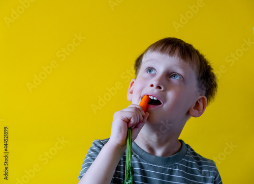 Boy eating fresh carrots on a yellow background