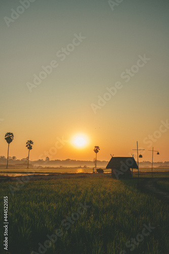 Small Asian hut on the rice field with sunrise in concept of peaceful.