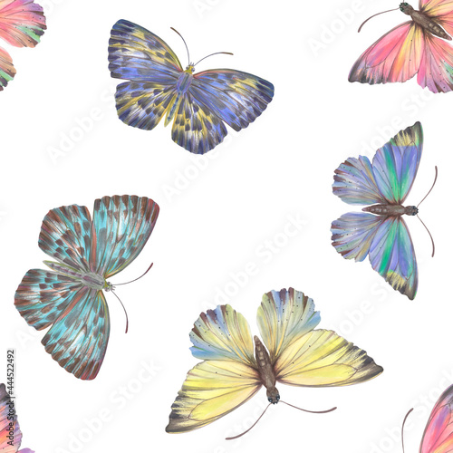 Butterflies bright seamless pattern on a white background. Colorful butterflies painted by watercolor. Botanical pattern  multi-colored wings  for design  scrapbooking  print  postcards  wallpaper.