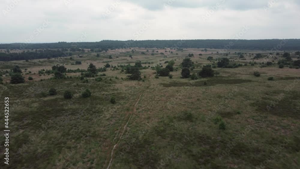 National park the Veluwe in province Gelderland in the Netherlands, aerial drone footage National park the Veluwe in province Gelderland in the Netherlands, aerial drone footage