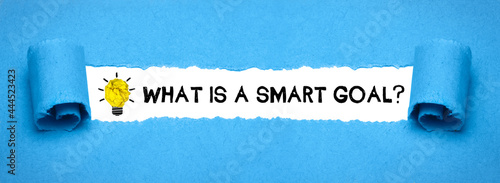What is a smart goal?